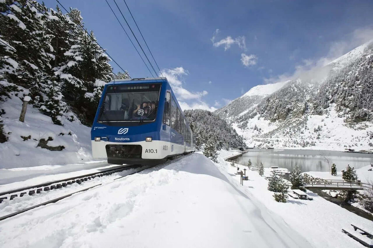 Zahnradbahn (inkl. Seilbahnwagen)