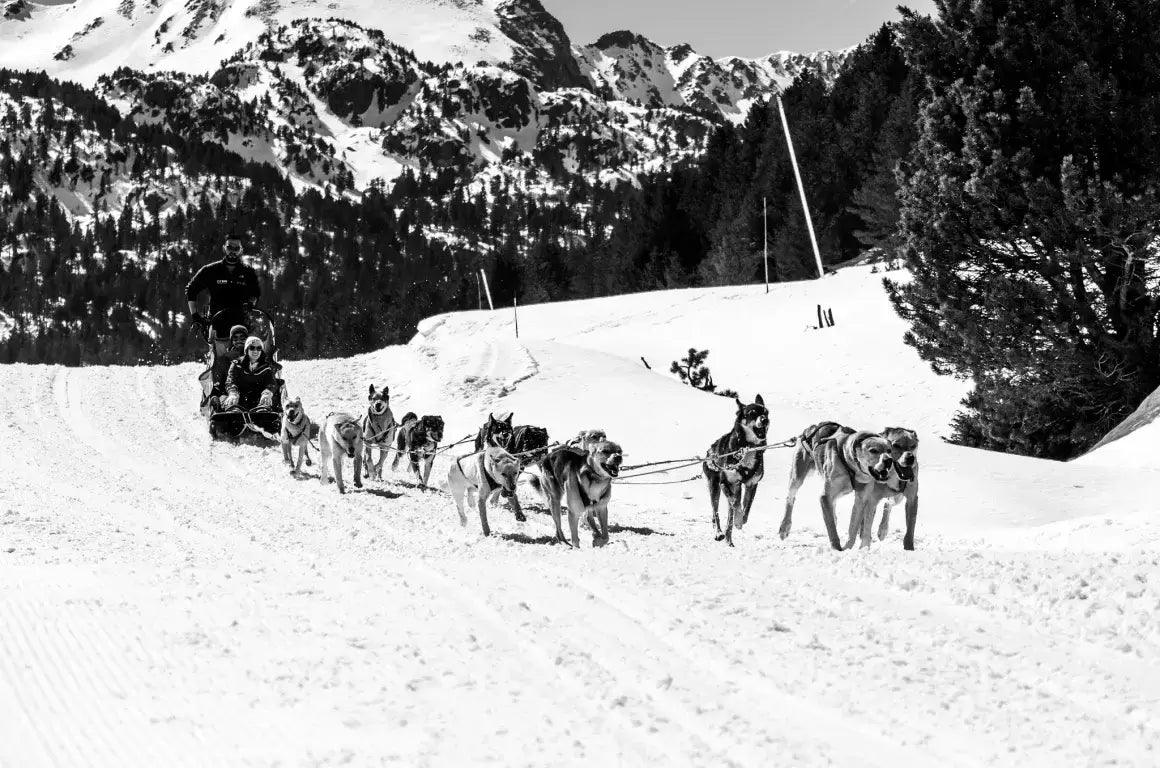 Mushing Andorra GrandValira | Schlittenhundeausflug