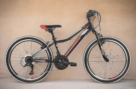 Fahrradverleih in Pollença (Mallorca) · Foto 3
