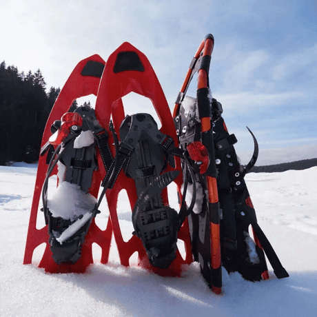 Skiverleih in Astún: komplette Skiausrüstung · Foto 6