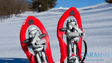 Skiverleih: komplette Skiausrüstung